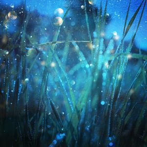 Japanese無碼熟女伦
